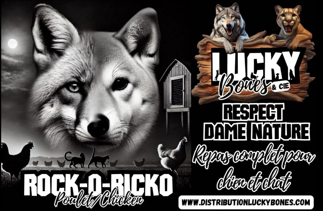 Screenshot 20241215 115839 gmail