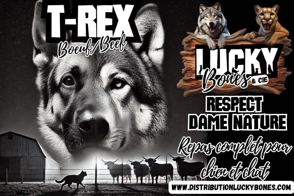 Trex 20241215 140832 0001