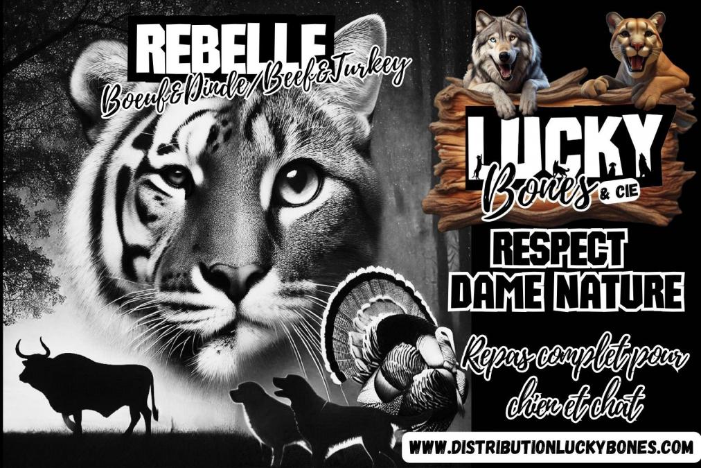 Trex 3 20241215 140832 0003