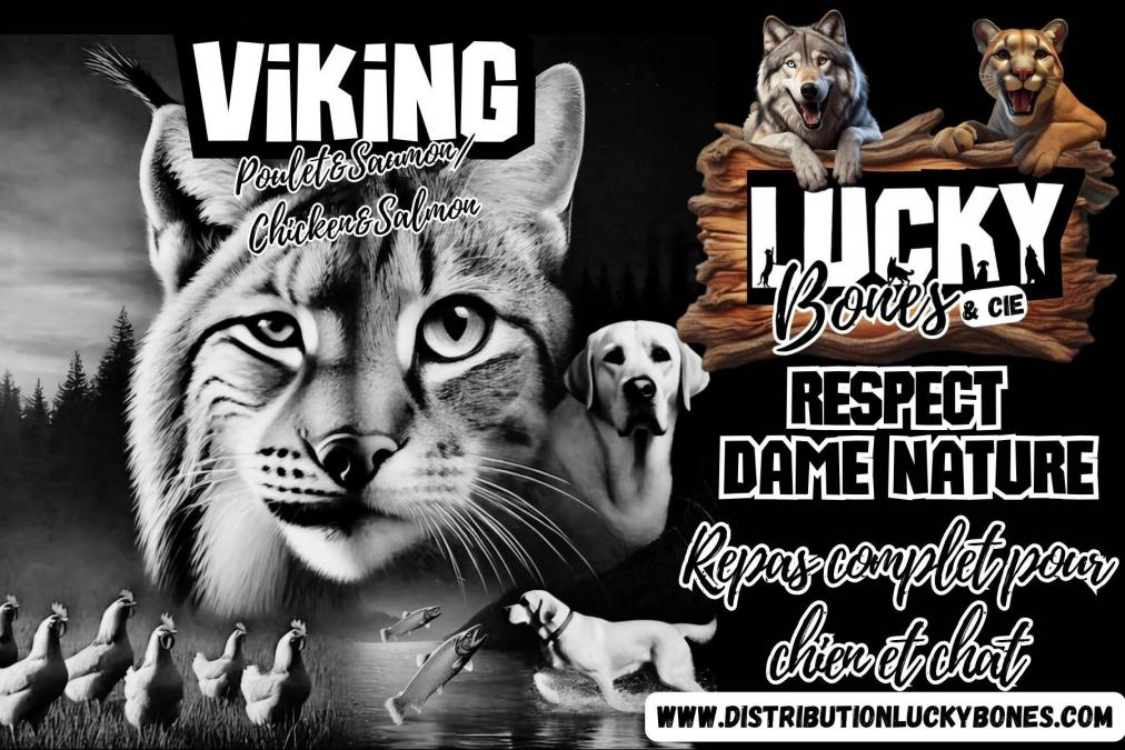 Trex 4 20241215 140832 0004