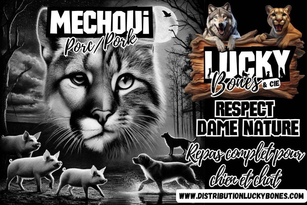 Trex 5 20241215 140832 0005