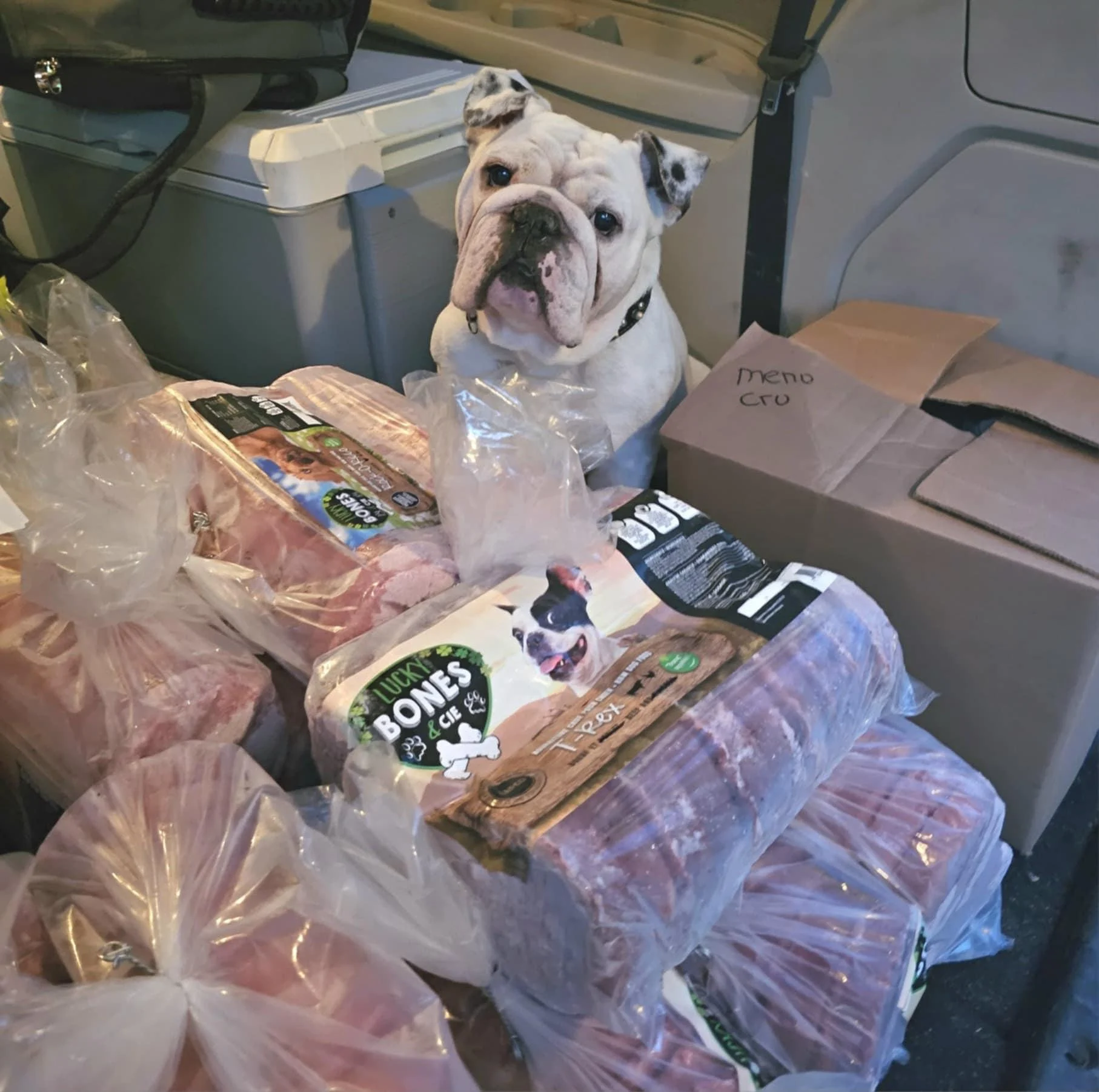 471443855 122148841688329669 4418187983112734119 n