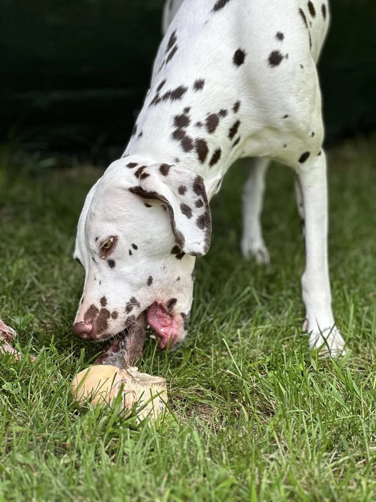 480242899 1675069169752617 2841558007287044788 n