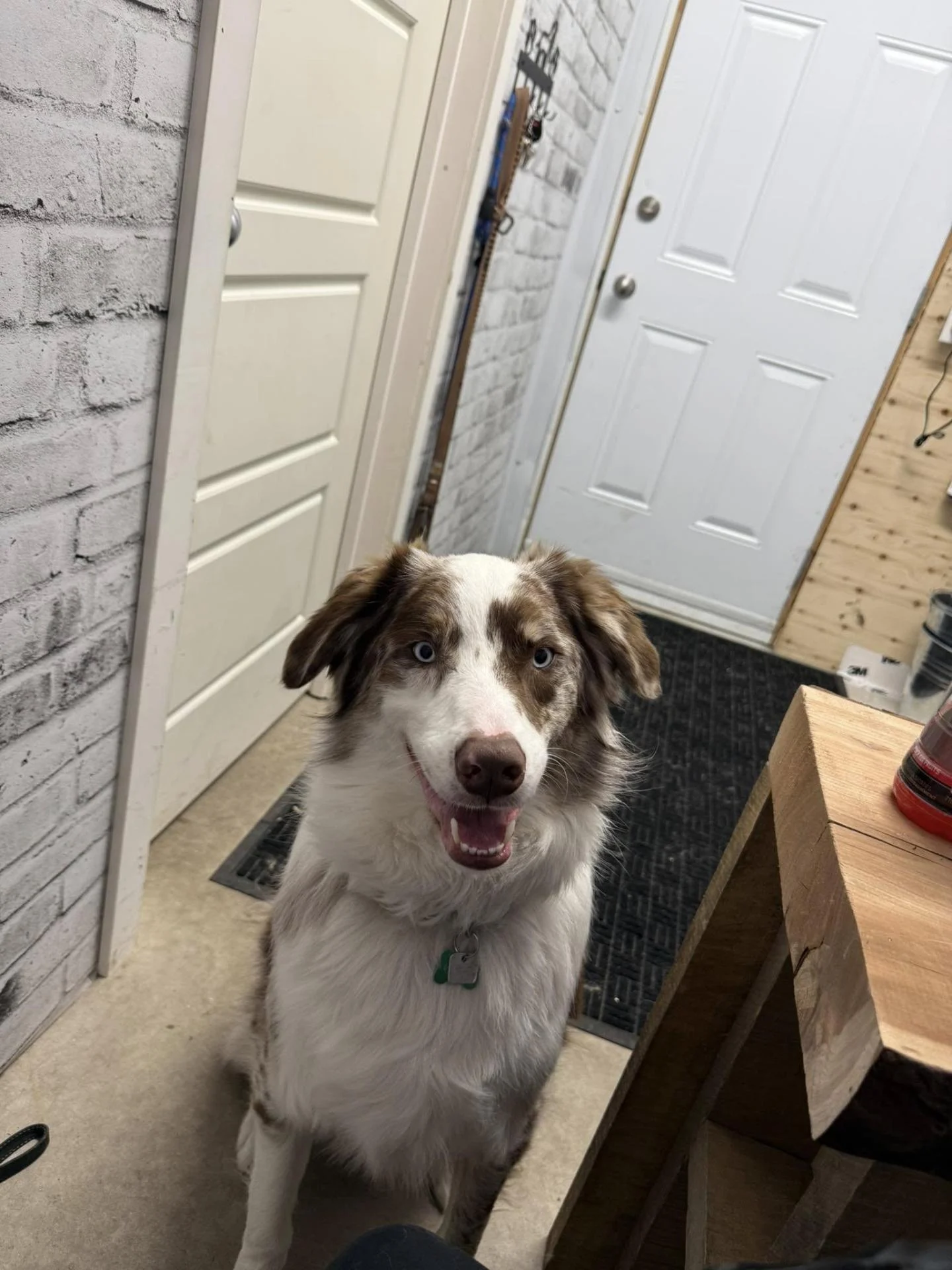 487340088 122121872732654445 240062943354230072 n