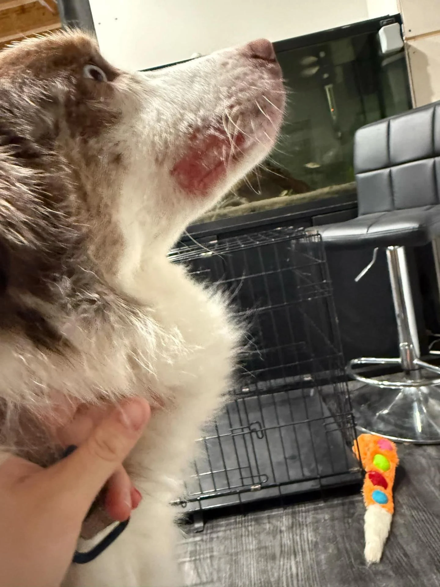 487463078 122121872714654445 6490348937326406844 n