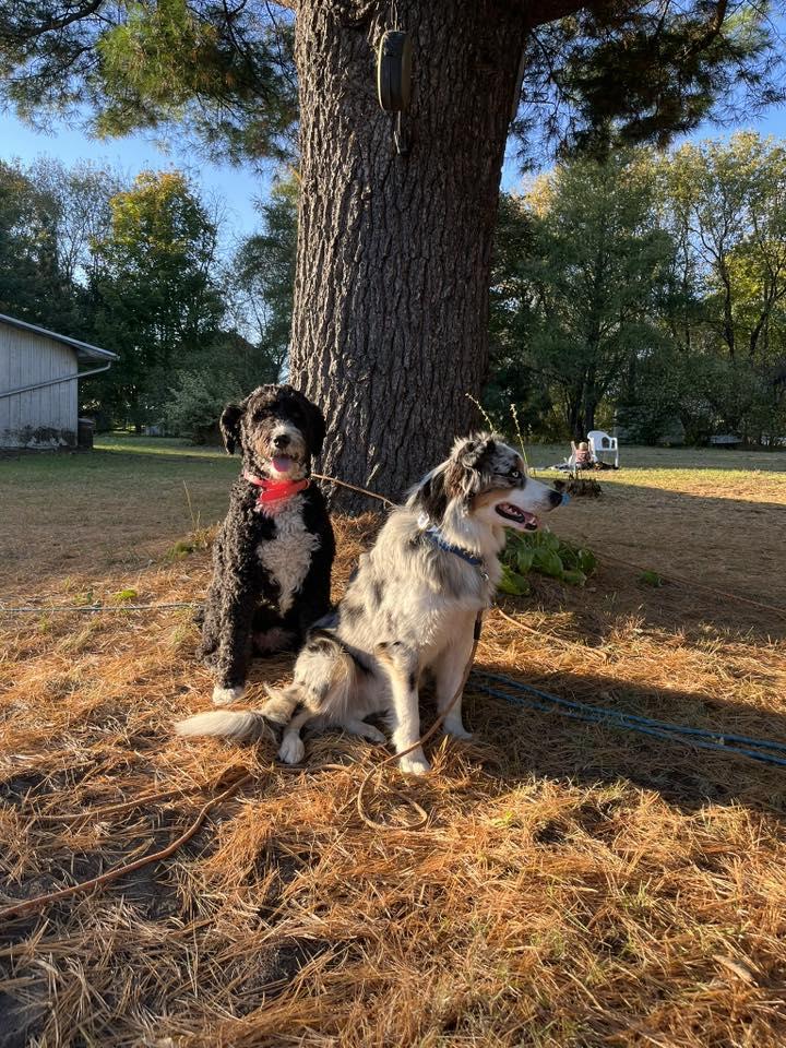 557010676 4449663915292234 8719434158841363700 n